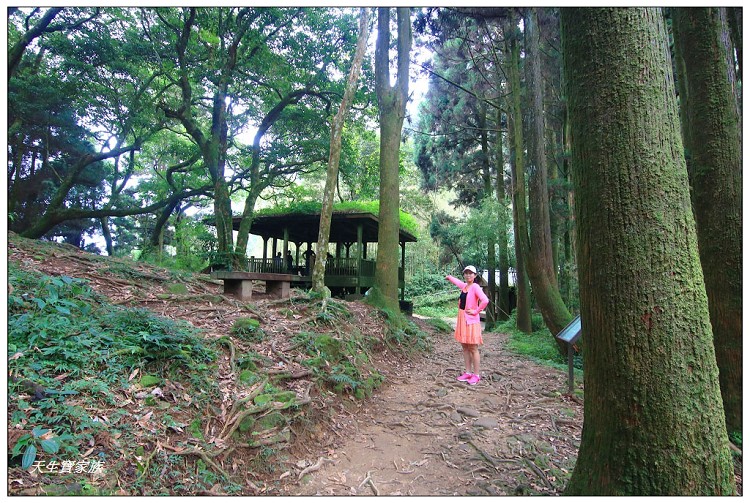 嘉義 大凍山,嘉義大凍山一日遊,嘉義大凍山停車場,嘉義大凍山天氣,嘉義大凍山步道,嘉義大凍山登山口,嘉義阿里山景點,多林停車場,多林檢查站,大冻山步道,大凍山 嘉義,大凍山三角點,大凍山停車場,大凍山健行筆記,大凍山台南,大凍山嘉義,大凍山地址,大凍山廁所,大凍山步道停車場,大凍山步道圖,大凍山步道地圖,大凍山步道路線圖,大凍山登山口,大凍山觀景平台,大凍山附近景點,大凍山頂湖步道,大棟山 嘉義,奮起湖大凍山步道,奮起湖大棟山登山步道,阿里山 大凍山,阿里山大凍山,阿里山景點,阿里山鄉樂野村頂湖,頂湖 大凍山休閒渡假中心,頂湖停車場,頂湖停車場大凍山,頂湖大凍山,頂湖大凍山步道,頂湖大凍山步道圖,頂湖步道,頂湖步道路線圖,頂湖茶園
