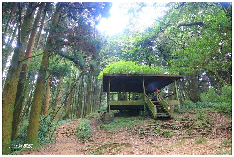 嘉義 大凍山,嘉義大凍山一日遊,嘉義大凍山停車場,嘉義大凍山天氣,嘉義大凍山步道,嘉義大凍山登山口,嘉義阿里山景點,多林停車場,多林檢查站,大冻山步道,大凍山 嘉義,大凍山三角點,大凍山停車場,大凍山健行筆記,大凍山台南,大凍山嘉義,大凍山地址,大凍山廁所,大凍山步道停車場,大凍山步道圖,大凍山步道地圖,大凍山步道路線圖,大凍山登山口,大凍山觀景平台,大凍山附近景點,大凍山頂湖步道,大棟山 嘉義,奮起湖大凍山步道,奮起湖大棟山登山步道,阿里山 大凍山,阿里山大凍山,阿里山景點,阿里山鄉樂野村頂湖,頂湖 大凍山休閒渡假中心,頂湖停車場,頂湖停車場大凍山,頂湖大凍山,頂湖大凍山步道,頂湖大凍山步道圖,頂湖步道,頂湖步道路線圖,頂湖茶園