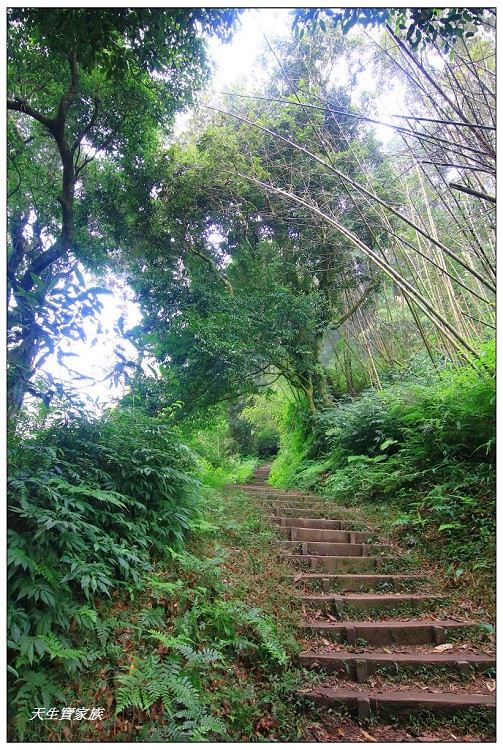 嘉義 大凍山,嘉義大凍山一日遊,嘉義大凍山停車場,嘉義大凍山天氣,嘉義大凍山步道,嘉義大凍山登山口,嘉義阿里山景點,多林停車場,多林檢查站,大冻山步道,大凍山 嘉義,大凍山三角點,大凍山停車場,大凍山健行筆記,大凍山台南,大凍山嘉義,大凍山地址,大凍山廁所,大凍山步道停車場,大凍山步道圖,大凍山步道地圖,大凍山步道路線圖,大凍山登山口,大凍山觀景平台,大凍山附近景點,大凍山頂湖步道,大棟山 嘉義,奮起湖大凍山步道,奮起湖大棟山登山步道,阿里山 大凍山,阿里山大凍山,阿里山景點,阿里山鄉樂野村頂湖,頂湖 大凍山休閒渡假中心,頂湖停車場,頂湖停車場大凍山,頂湖大凍山,頂湖大凍山步道,頂湖大凍山步道圖,頂湖步道,頂湖步道路線圖,頂湖茶園