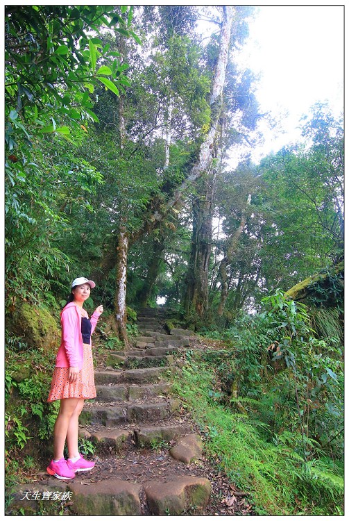 嘉義 大凍山,嘉義大凍山一日遊,嘉義大凍山停車場,嘉義大凍山天氣,嘉義大凍山步道,嘉義大凍山登山口,嘉義阿里山景點,多林停車場,多林檢查站,大冻山步道,大凍山 嘉義,大凍山三角點,大凍山停車場,大凍山健行筆記,大凍山台南,大凍山嘉義,大凍山地址,大凍山廁所,大凍山步道停車場,大凍山步道圖,大凍山步道地圖,大凍山步道路線圖,大凍山登山口,大凍山觀景平台,大凍山附近景點,大凍山頂湖步道,大棟山 嘉義,奮起湖大凍山步道,奮起湖大棟山登山步道,阿里山 大凍山,阿里山大凍山,阿里山景點,阿里山鄉樂野村頂湖,頂湖 大凍山休閒渡假中心,頂湖停車場,頂湖停車場大凍山,頂湖大凍山,頂湖大凍山步道,頂湖大凍山步道圖,頂湖步道,頂湖步道路線圖,頂湖茶園