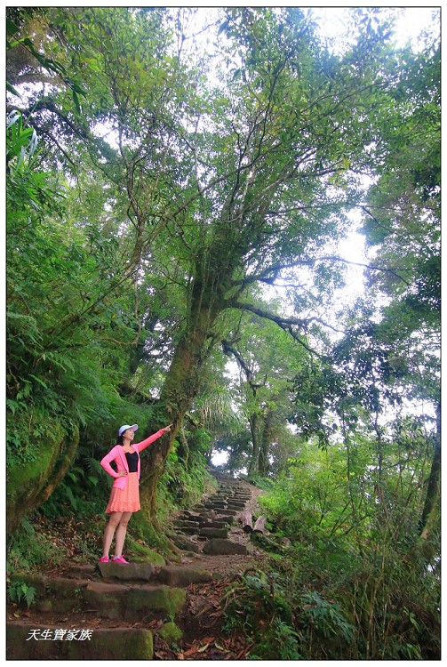 嘉義 大凍山,嘉義大凍山一日遊,嘉義大凍山停車場,嘉義大凍山天氣,嘉義大凍山步道,嘉義大凍山登山口,嘉義阿里山景點,多林停車場,多林檢查站,大冻山步道,大凍山 嘉義,大凍山三角點,大凍山停車場,大凍山健行筆記,大凍山台南,大凍山嘉義,大凍山地址,大凍山廁所,大凍山步道停車場,大凍山步道圖,大凍山步道地圖,大凍山步道路線圖,大凍山登山口,大凍山觀景平台,大凍山附近景點,大凍山頂湖步道,大棟山 嘉義,奮起湖大凍山步道,奮起湖大棟山登山步道,阿里山 大凍山,阿里山大凍山,阿里山景點,阿里山鄉樂野村頂湖,頂湖 大凍山休閒渡假中心,頂湖停車場,頂湖停車場大凍山,頂湖大凍山,頂湖大凍山步道,頂湖大凍山步道圖,頂湖步道,頂湖步道路線圖,頂湖茶園