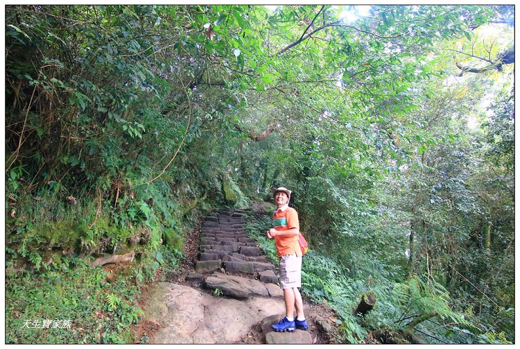 嘉義 大凍山,嘉義大凍山一日遊,嘉義大凍山停車場,嘉義大凍山天氣,嘉義大凍山步道,嘉義大凍山登山口,嘉義阿里山景點,多林停車場,多林檢查站,大冻山步道,大凍山 嘉義,大凍山三角點,大凍山停車場,大凍山健行筆記,大凍山台南,大凍山嘉義,大凍山地址,大凍山廁所,大凍山步道停車場,大凍山步道圖,大凍山步道地圖,大凍山步道路線圖,大凍山登山口,大凍山觀景平台,大凍山附近景點,大凍山頂湖步道,大棟山 嘉義,奮起湖大凍山步道,奮起湖大棟山登山步道,阿里山 大凍山,阿里山大凍山,阿里山景點,阿里山鄉樂野村頂湖,頂湖 大凍山休閒渡假中心,頂湖停車場,頂湖停車場大凍山,頂湖大凍山,頂湖大凍山步道,頂湖大凍山步道圖,頂湖步道,頂湖步道路線圖,頂湖茶園