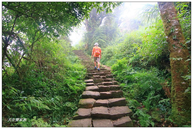 嘉義 大凍山,嘉義大凍山一日遊,嘉義大凍山停車場,嘉義大凍山天氣,嘉義大凍山步道,嘉義大凍山登山口,嘉義阿里山景點,多林停車場,多林檢查站,大冻山步道,大凍山 嘉義,大凍山三角點,大凍山停車場,大凍山健行筆記,大凍山台南,大凍山嘉義,大凍山地址,大凍山廁所,大凍山步道停車場,大凍山步道圖,大凍山步道地圖,大凍山步道路線圖,大凍山登山口,大凍山觀景平台,大凍山附近景點,大凍山頂湖步道,大棟山 嘉義,奮起湖大凍山步道,奮起湖大棟山登山步道,阿里山 大凍山,阿里山大凍山,阿里山景點,阿里山鄉樂野村頂湖,頂湖 大凍山休閒渡假中心,頂湖停車場,頂湖停車場大凍山,頂湖大凍山,頂湖大凍山步道,頂湖大凍山步道圖,頂湖步道,頂湖步道路線圖,頂湖茶園