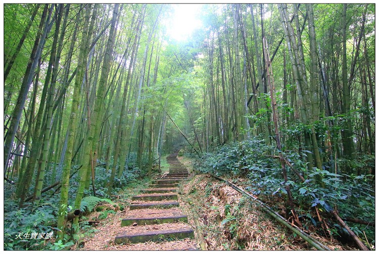 嘉義 大凍山,嘉義大凍山一日遊,嘉義大凍山停車場,嘉義大凍山天氣,嘉義大凍山步道,嘉義大凍山登山口,嘉義阿里山景點,多林停車場,多林檢查站,大冻山步道,大凍山 嘉義,大凍山三角點,大凍山停車場,大凍山健行筆記,大凍山台南,大凍山嘉義,大凍山地址,大凍山廁所,大凍山步道停車場,大凍山步道圖,大凍山步道地圖,大凍山步道路線圖,大凍山登山口,大凍山觀景平台,大凍山附近景點,大凍山頂湖步道,大棟山 嘉義,奮起湖大凍山步道,奮起湖大棟山登山步道,阿里山 大凍山,阿里山大凍山,阿里山景點,阿里山鄉樂野村頂湖,頂湖 大凍山休閒渡假中心,頂湖停車場,頂湖停車場大凍山,頂湖大凍山,頂湖大凍山步道,頂湖大凍山步道圖,頂湖步道,頂湖步道路線圖,頂湖茶園