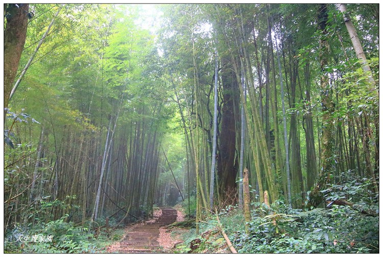嘉義 大凍山,嘉義大凍山一日遊,嘉義大凍山停車場,嘉義大凍山天氣,嘉義大凍山步道,嘉義大凍山登山口,嘉義阿里山景點,多林停車場,多林檢查站,大冻山步道,大凍山 嘉義,大凍山三角點,大凍山停車場,大凍山健行筆記,大凍山台南,大凍山嘉義,大凍山地址,大凍山廁所,大凍山步道停車場,大凍山步道圖,大凍山步道地圖,大凍山步道路線圖,大凍山登山口,大凍山觀景平台,大凍山附近景點,大凍山頂湖步道,大棟山 嘉義,奮起湖大凍山步道,奮起湖大棟山登山步道,阿里山 大凍山,阿里山大凍山,阿里山景點,阿里山鄉樂野村頂湖,頂湖 大凍山休閒渡假中心,頂湖停車場,頂湖停車場大凍山,頂湖大凍山,頂湖大凍山步道,頂湖大凍山步道圖,頂湖步道,頂湖步道路線圖,頂湖茶園