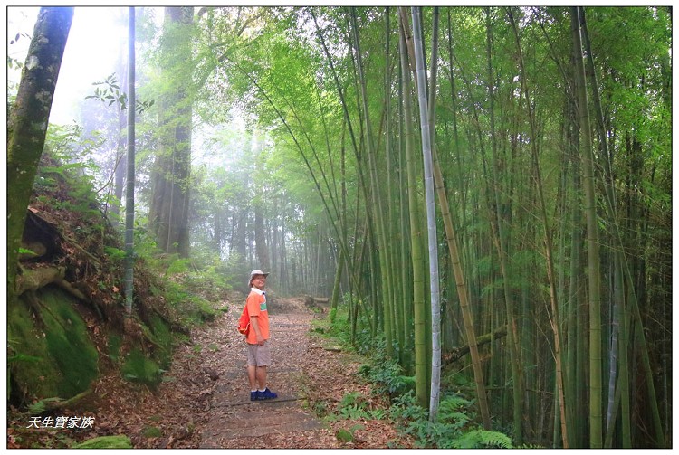 嘉義 大凍山,嘉義大凍山一日遊,嘉義大凍山停車場,嘉義大凍山天氣,嘉義大凍山步道,嘉義大凍山登山口,嘉義阿里山景點,多林停車場,多林檢查站,大冻山步道,大凍山 嘉義,大凍山三角點,大凍山停車場,大凍山健行筆記,大凍山台南,大凍山嘉義,大凍山地址,大凍山廁所,大凍山步道停車場,大凍山步道圖,大凍山步道地圖,大凍山步道路線圖,大凍山登山口,大凍山觀景平台,大凍山附近景點,大凍山頂湖步道,大棟山 嘉義,奮起湖大凍山步道,奮起湖大棟山登山步道,阿里山 大凍山,阿里山大凍山,阿里山景點,阿里山鄉樂野村頂湖,頂湖 大凍山休閒渡假中心,頂湖停車場,頂湖停車場大凍山,頂湖大凍山,頂湖大凍山步道,頂湖大凍山步道圖,頂湖步道,頂湖步道路線圖,頂湖茶園
