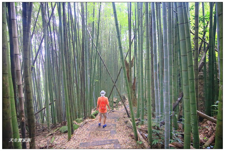 嘉義 大凍山,嘉義大凍山一日遊,嘉義大凍山停車場,嘉義大凍山天氣,嘉義大凍山步道,嘉義大凍山登山口,嘉義阿里山景點,多林停車場,多林檢查站,大冻山步道,大凍山 嘉義,大凍山三角點,大凍山停車場,大凍山健行筆記,大凍山台南,大凍山嘉義,大凍山地址,大凍山廁所,大凍山步道停車場,大凍山步道圖,大凍山步道地圖,大凍山步道路線圖,大凍山登山口,大凍山觀景平台,大凍山附近景點,大凍山頂湖步道,大棟山 嘉義,奮起湖大凍山步道,奮起湖大棟山登山步道,阿里山 大凍山,阿里山大凍山,阿里山景點,阿里山鄉樂野村頂湖,頂湖 大凍山休閒渡假中心,頂湖停車場,頂湖停車場大凍山,頂湖大凍山,頂湖大凍山步道,頂湖大凍山步道圖,頂湖步道,頂湖步道路線圖,頂湖茶園