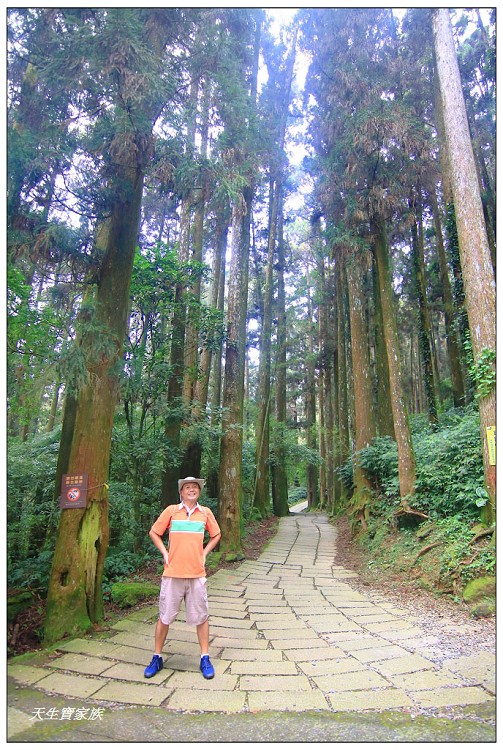 嘉義 大凍山,嘉義大凍山一日遊,嘉義大凍山停車場,嘉義大凍山天氣,嘉義大凍山步道,嘉義大凍山登山口,嘉義阿里山景點,多林停車場,多林檢查站,大冻山步道,大凍山 嘉義,大凍山三角點,大凍山停車場,大凍山健行筆記,大凍山台南,大凍山嘉義,大凍山地址,大凍山廁所,大凍山步道停車場,大凍山步道圖,大凍山步道地圖,大凍山步道路線圖,大凍山登山口,大凍山觀景平台,大凍山附近景點,大凍山頂湖步道,大棟山 嘉義,奮起湖大凍山步道,奮起湖大棟山登山步道,阿里山 大凍山,阿里山大凍山,阿里山景點,阿里山鄉樂野村頂湖,頂湖 大凍山休閒渡假中心,頂湖停車場,頂湖停車場大凍山,頂湖大凍山,頂湖大凍山步道,頂湖大凍山步道圖,頂湖步道,頂湖步道路線圖,頂湖茶園