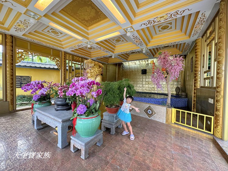 巧雲小棧龍王金殿嘉義梅山旅遊景點