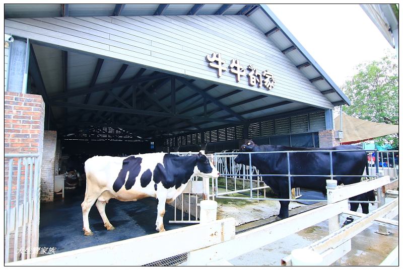 千巧谷牛樂園牧場、千巧谷、雲林千巧谷、崙背千巧谷、千巧谷電話、千巧谷餐點、千巧谷評價