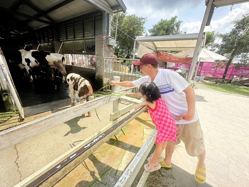 千巧谷牛樂園牧場、千巧谷、雲林千巧谷、崙背千巧谷、千巧谷電話、千巧谷餐點、千巧谷評價