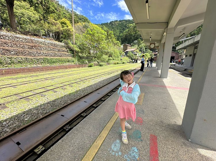 嘉義一日遊,四方竹步道,奮起湖,奮起湖一日遊,奮起湖住宿,奮起湖便當,奮起湖景觀台,奮起湖景點,奮起湖火車,奮起湖甜甜圈,奮起湖神社,奮起湖美食,奮起湖老街,奮起湖觀景台,奮起湖觀景台位置,奮起湖車站,奮起湖高度,悶柴窯,愛玉伯,老街,鹿鼎神木