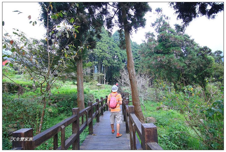 嘉義,嘉義 逐鹿部落藝術村,嘉義旅遊,嘉義景點,奉天岩 步道,奮起湖,奮起湖便當,奮起湖停車場,奮起湖步道,奮起湖步道難度,奮起湖肖楠木步道,奮起湖車站 老街 肖楠林步道,步道,百年肖楠林,百年肖楠林步道,百年肖楠林步道附近景點,竹山肖楠步道,肖楠步道,鐵路便當,阿里山,阿里山 肖楠,阿里山步道