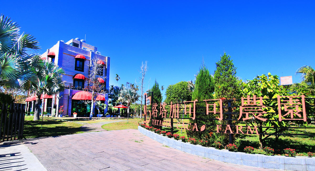 雲林景點、雲林大埤箔雁岸黃花風鈴木、雲林大埤柳樹腳堤防黃色風鈴木 雲林景點、雲林大埤箔雁岸黃花風鈴木、雲林大埤柳樹腳堤防黃色風鈴木