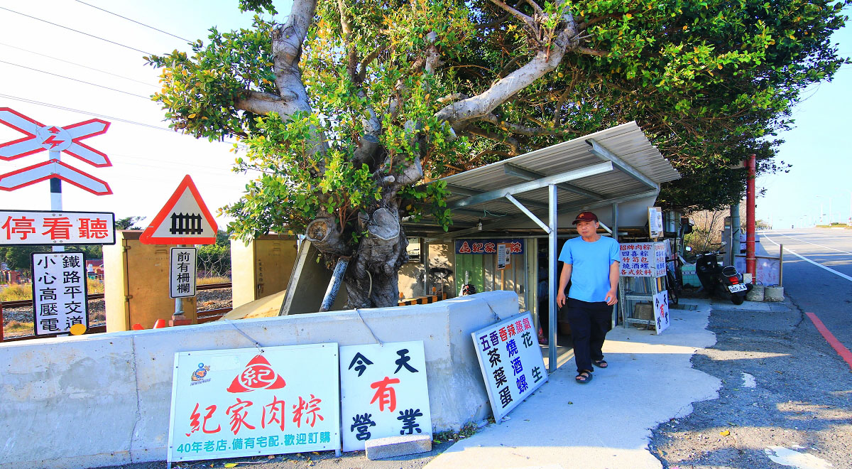 雲林景點、雲林大埤箔雁岸黃花風鈴木、雲林大埤柳樹腳堤防黃色風鈴木 雲林景點、雲林大埤箔雁岸黃花風鈴木、雲林大埤柳樹腳堤防黃色風鈴木