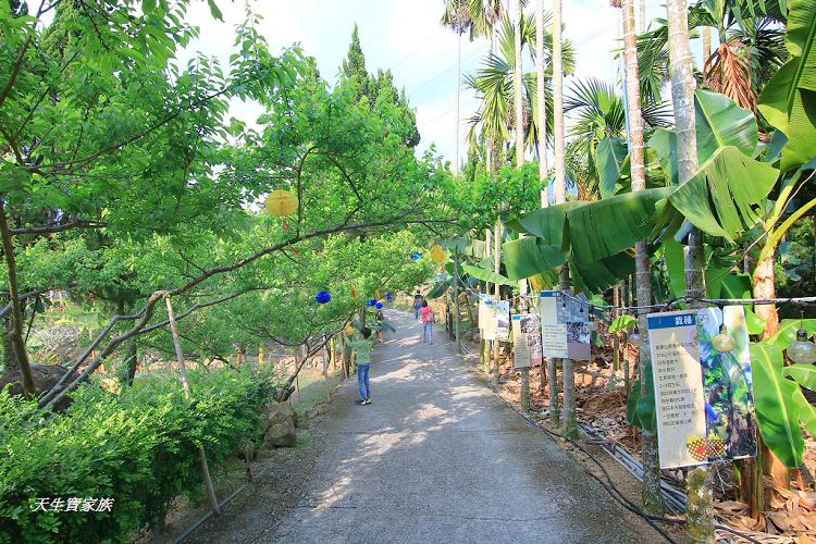南投景點、集集景點、集元果觀光工廠門票、jijibanana集元果觀光工廠、集元果觀光工廠、集元果觀光工廠菜單