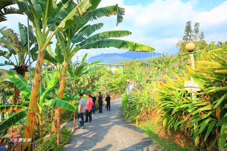 南投景點、集集景點、集元果觀光工廠門票、jijibanana集元果觀光工廠、集元果觀光工廠、集元果觀光工廠菜單