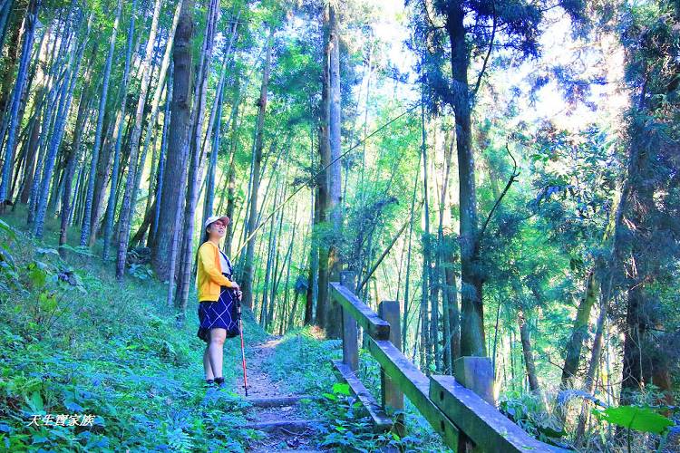 嘉義景點、四大天王山步道、四大天王步道、四天皇山、四天王山步道、四大天皇山、登山口