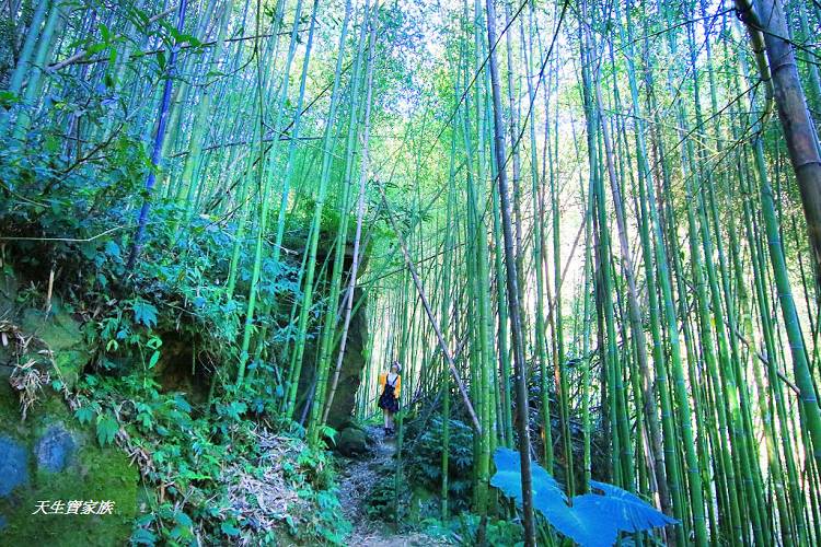 嘉義景點、四大天王山步道、四大天王步道、四天皇山、四天王山步道、四大天皇山、登山口