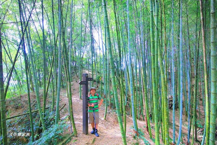 嘉義景點、四大天王山步道、四大天王步道、四天皇山、四天王山步道、四大天皇山、登山口