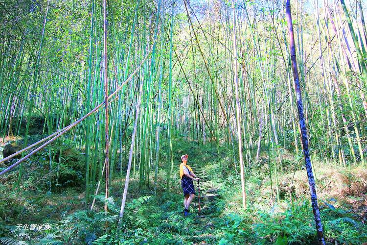 嘉義景點、四大天王山步道、四大天王步道、四天皇山、四天王山步道、四大天皇山、登山口