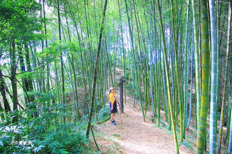 嘉義景點、四大天王山步道、四大天王步道、四天皇山、四天王山步道、四大天皇山、登山口