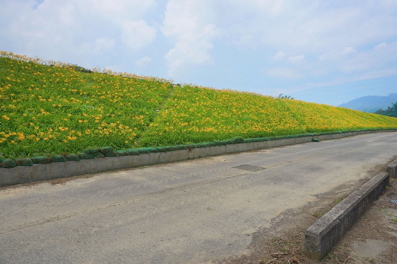 大湖 湯屋 推薦,大湖 鄉 社 寮 角 堤防,大湖 金針 花 景觀 廊 道,大湖 金針花,大湖 金針花 地址,大湖景點,大湖溪社寮角堤防,大湖社寮角,大湖社寮角堤防,大湖社寮角金針花,大湖社寮角金針花廊道,大湖鄉社寮角堤防,大湖鄉社寮角堤防金針花海,大湖金針廊道,大湖金針花,大湖金針花堤防,大湖金針花季,大湖金針花景觀廊道,大湖金針花海,石湯溫泉 附近 美食,社寮角,社寮角堤防,社寮角堤防金針花,社寮角金針花,社寮角金針花海,紅色 琉璃瓦 價格,紅色 琉璃瓦 草莓園,苗栗 大湖 社 寮 角 堤防,苗栗 秘境 咖啡,苗栗 金針花,苗栗大湖社寮角堤防,苗栗大湖社寮角堤防金針花,苗栗大湖金針花,苗栗大湖金針花海,苗栗景點,苗栗社寮角,苗栗社寮角堤防,苗栗金針花,苗栗金針花海,金針花景觀廊道,鐘 鼎 山林菜單