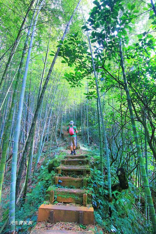 嘉義景點、四大天王山步道、四大天王步道、四天皇山、四天王山步道、四大天皇山、登山口