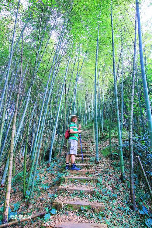 嘉義景點、四大天王山步道、四大天王步道、四天皇山、四天王山步道、四大天皇山、登山口