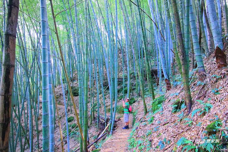 嘉義景點、四大天王山步道、四大天王步道、四天皇山、四天王山步道、四大天皇山、登山口