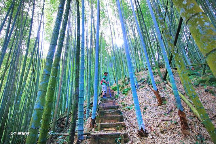 嘉義景點、四大天王山步道、四大天王步道、四天皇山、四天王山步道、四大天皇山、登山口