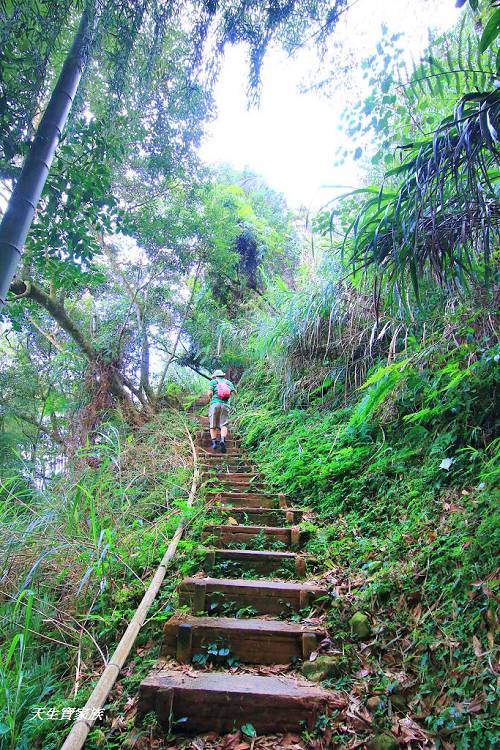 嘉義景點、四大天王山步道、四大天王步道、四天皇山、四天王山步道、四大天皇山、登山口