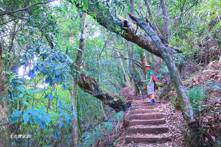 嘉義景點、四大天王山步道、四大天王步道、四天皇山、四天王山步道、四大天皇山、登山口
