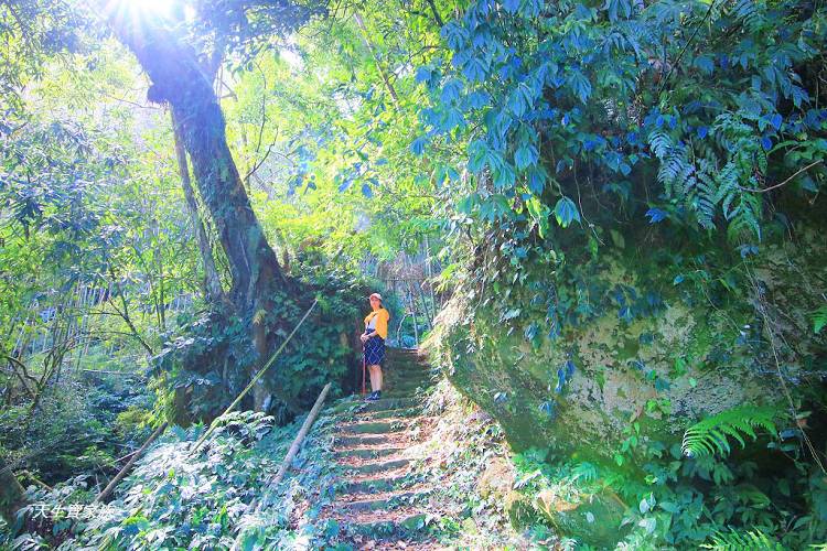嘉義景點、四大天王山步道、四大天王步道、四天皇山、四天王山步道、四大天皇山、登山口