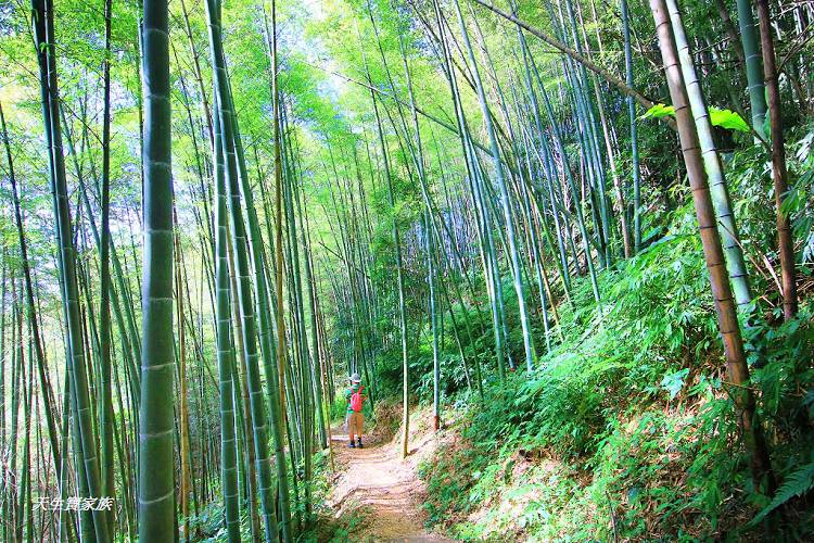 嘉義景點、四大天王山步道、四大天王步道、四天皇山、四天王山步道、四大天皇山、登山口