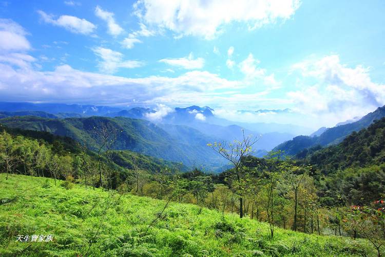 嘉義景點、四大天王山步道、四大天王步道、四天皇山、四天王山步道、四大天皇山、登山口