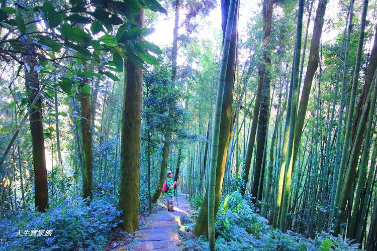 嘉義景點、四大天王山步道、四大天王步道、四天皇山、四天王山步道、四大天皇山、登山口