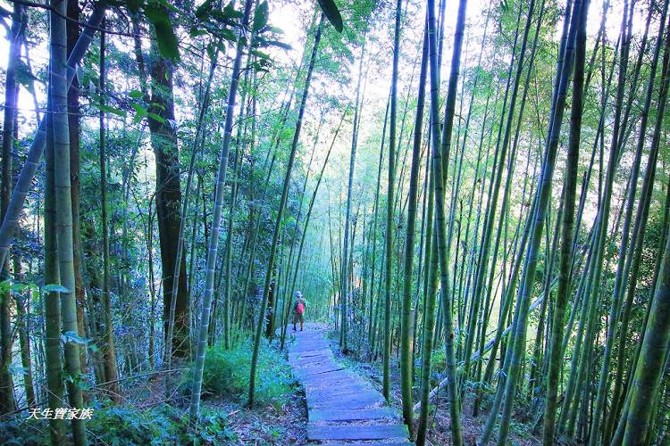 嘉義景點、四大天王山步道、四大天王步道、四天皇山、四天王山步道、四大天皇山、登山口