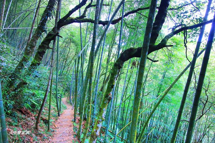 嘉義景點、四大天王山步道、四大天王步道、四天皇山、四天王山步道、四大天皇山、登山口