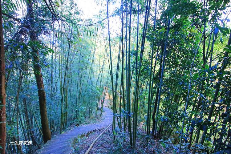 嘉義景點、四大天王山步道、四大天王步道、四天皇山、四天王山步道、四大天皇山、登山口