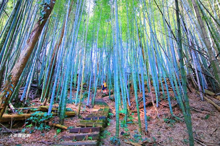 嘉義景點、四大天王山步道、四大天王步道、四天皇山、四天王山步道、四大天皇山、登山口