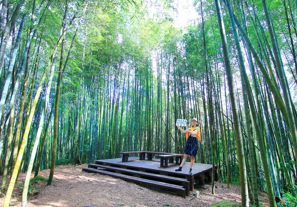 網站近期文章：嘉義竹崎「四大天王山步道」隱藏的秘境，徜徉山林好美