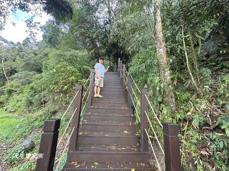 免費景點,台中景點,台中森林 秘境,台東巨人之手,和平景點,山 蘇 森林 健行筆記,山蘇林,山蘇森林,山蘇森林賽德克巴萊,巨人之手,巨人之手 廁所,巨人之手 車宿,巨人之手一日遊,巨人之手整修,巨人之手海拔高度,巨人之手由來,巨人之手路況,巨人之手銀河,巨人之手附近景點,巨人之手附近美食,巨人之手露營,巨人之手靈異,巨人之手騎車,百川山 巨人之手,雪山坑,雪山坑 步道,雪山坑山蘇森林,雪山坑巨人之手,雪山坑步道,雪山坑登山步道,雪山坑部落,雪山坑露營區,雪山花園農場