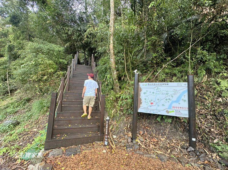 免費景點,台中景點,台中森林 秘境,台東巨人之手,和平景點,山 蘇 森林 健行筆記,山蘇林,山蘇森林,山蘇森林賽德克巴萊,巨人之手,巨人之手 廁所,巨人之手 車宿,巨人之手一日遊,巨人之手整修,巨人之手海拔高度,巨人之手由來,巨人之手路況,巨人之手銀河,巨人之手附近景點,巨人之手附近美食,巨人之手露營,巨人之手靈異,巨人之手騎車,百川山 巨人之手,雪山坑,雪山坑 步道,雪山坑山蘇森林,雪山坑巨人之手,雪山坑步道,雪山坑登山步道,雪山坑部落,雪山坑露營區,雪山花園農場