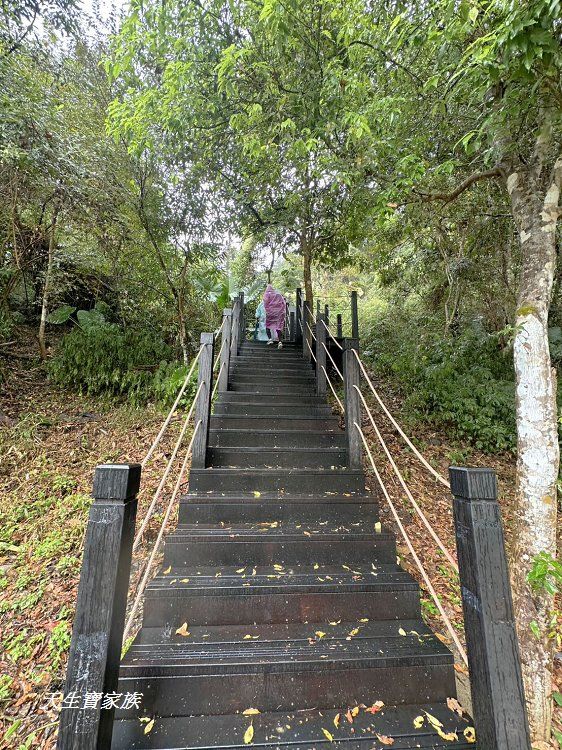 免費景點,台中景點,台中森林 秘境,台東巨人之手,和平景點,山 蘇 森林 健行筆記,山蘇林,山蘇森林,山蘇森林賽德克巴萊,巨人之手,巨人之手 廁所,巨人之手 車宿,巨人之手一日遊,巨人之手整修,巨人之手海拔高度,巨人之手由來,巨人之手路況,巨人之手銀河,巨人之手附近景點,巨人之手附近美食,巨人之手露營,巨人之手靈異,巨人之手騎車,百川山 巨人之手,雪山坑,雪山坑 步道,雪山坑山蘇森林,雪山坑巨人之手,雪山坑步道,雪山坑登山步道,雪山坑部落,雪山坑露營區,雪山花園農場