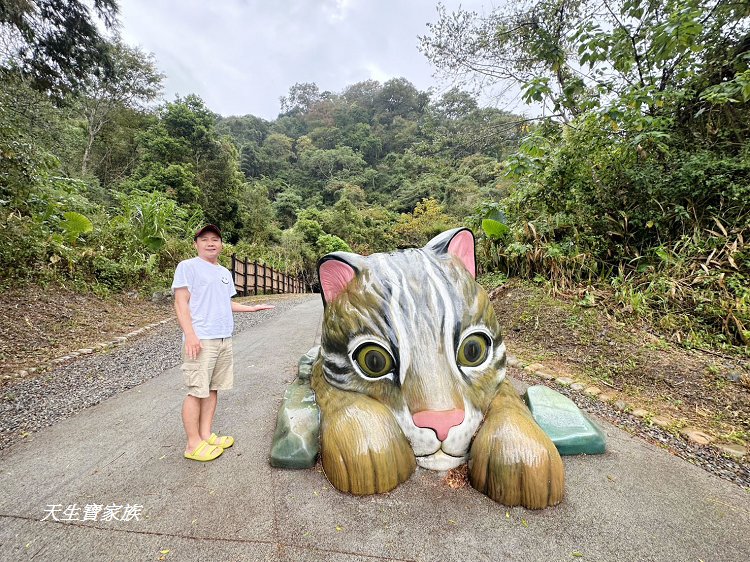 免費景點,台中景點,台中森林 秘境,台東巨人之手,和平景點,山 蘇 森林 健行筆記,山蘇林,山蘇森林,山蘇森林賽德克巴萊,巨人之手,巨人之手 廁所,巨人之手 車宿,巨人之手一日遊,巨人之手整修,巨人之手海拔高度,巨人之手由來,巨人之手路況,巨人之手銀河,巨人之手附近景點,巨人之手附近美食,巨人之手露營,巨人之手靈異,巨人之手騎車,百川山 巨人之手,雪山坑,雪山坑 步道,雪山坑山蘇森林,雪山坑巨人之手,雪山坑步道,雪山坑登山步道,雪山坑部落,雪山坑露營區,雪山花園農場