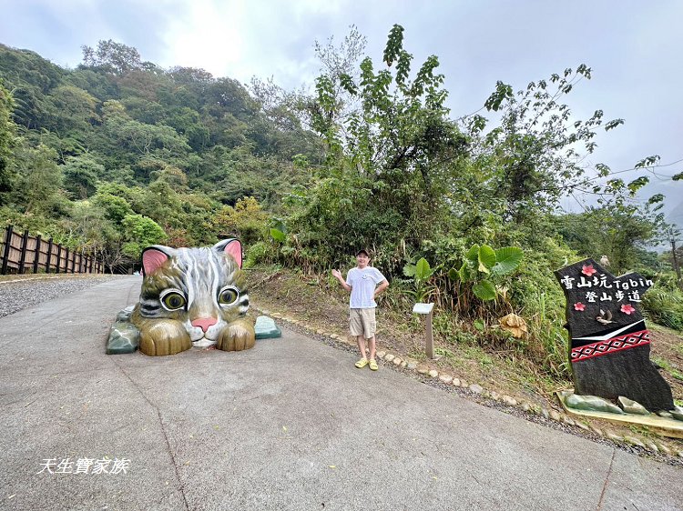 網站近期文章：【雪山坑登山步道】巨人之手+山蘇森林｜台中和平桃山部落尋秘境，原始林神秘感