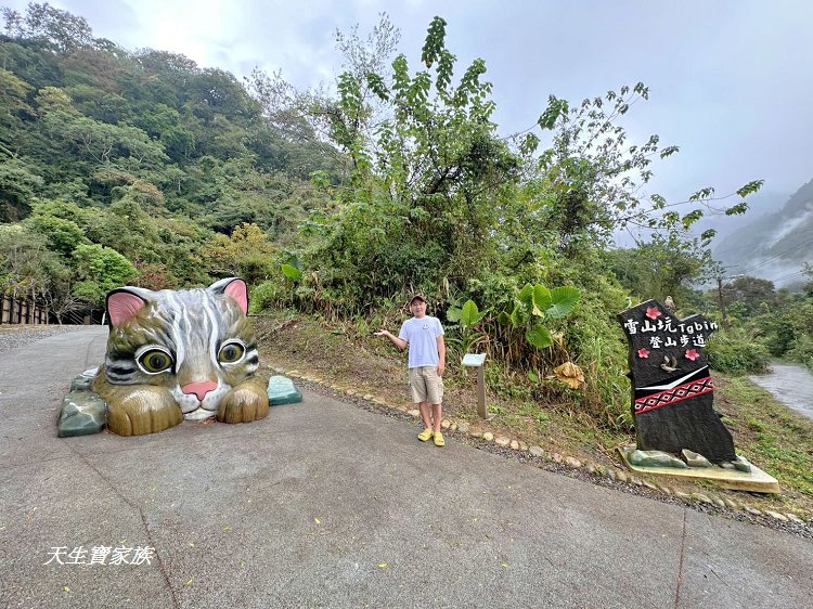 免費景點,台中景點,台中森林 秘境,台東巨人之手,和平景點,山 蘇 森林 健行筆記,山蘇林,山蘇森林,山蘇森林賽德克巴萊,巨人之手,巨人之手 廁所,巨人之手 車宿,巨人之手一日遊,巨人之手整修,巨人之手海拔高度,巨人之手由來,巨人之手路況,巨人之手銀河,巨人之手附近景點,巨人之手附近美食,巨人之手露營,巨人之手靈異,巨人之手騎車,百川山 巨人之手,雪山坑,雪山坑 步道,雪山坑山蘇森林,雪山坑巨人之手,雪山坑步道,雪山坑登山步道,雪山坑部落,雪山坑露營區,雪山花園農場