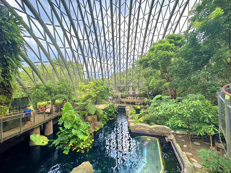 延伸閱讀：臺北市立動物園|台北木柵動物園，全票60元一次看到過癮