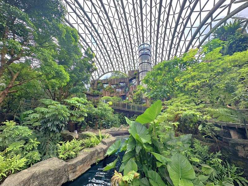 台北景點、木柵景點、台北親子遊、台北市立動物園介紹、臺北市立動物園、台北市立動物園、木柵動物園門票、木柵動物園、台北市立動物園攻略、台北親子景點、2024台北情侶約會